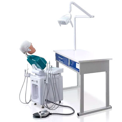 OEM Praktischer Phantomkopf-Dentalsimulator A1 A3 A15 für Studenten