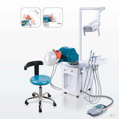 CE Dentistry Phantom Head Simulador odontológico multiuso armazenável